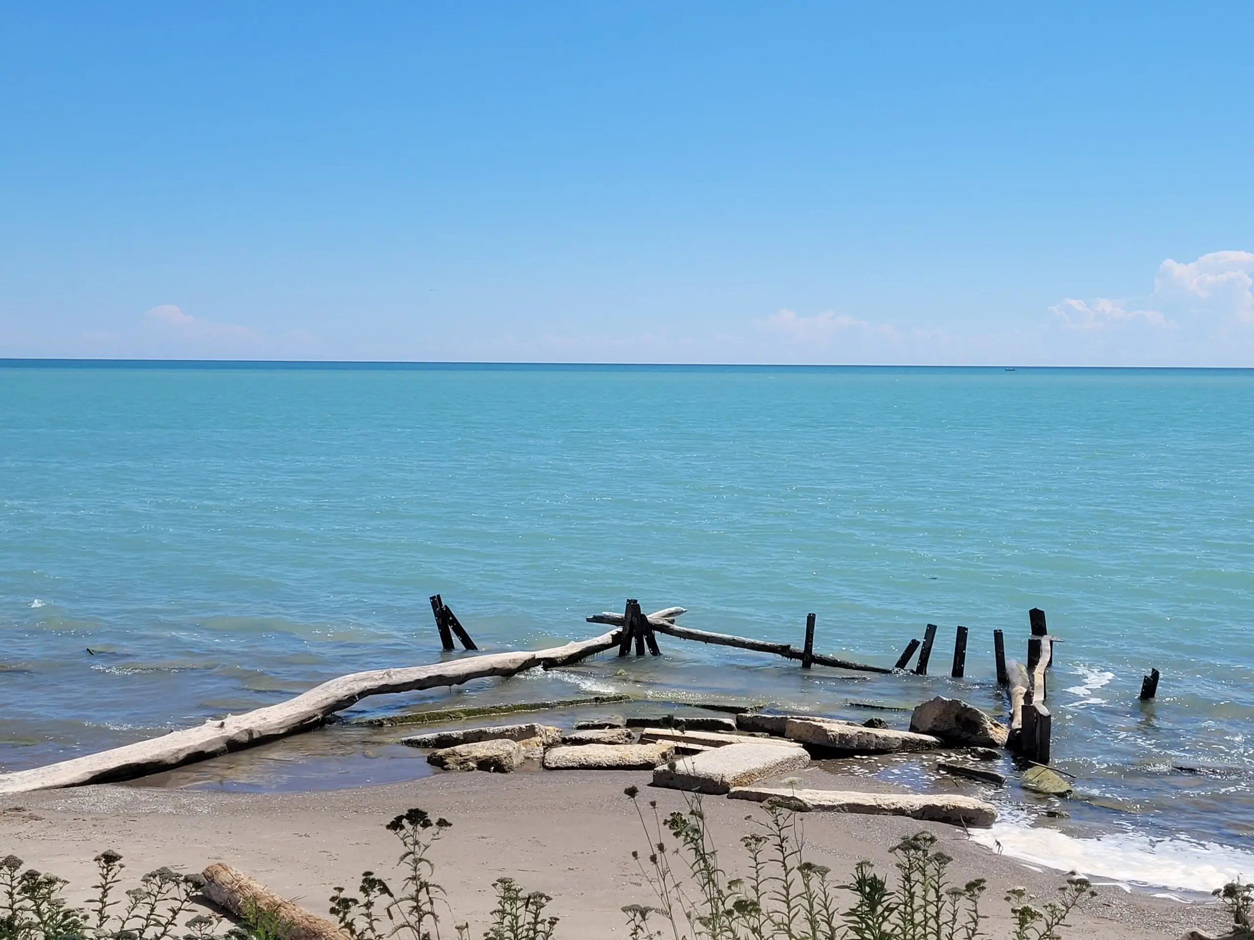 Peaceful natural landscape