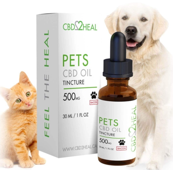 Pets CBD Oil Tincture 500mg, bacon flavour